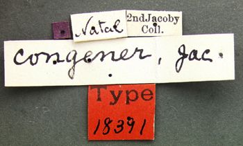 Media type: image; Entomology 18391   Aspect: labels